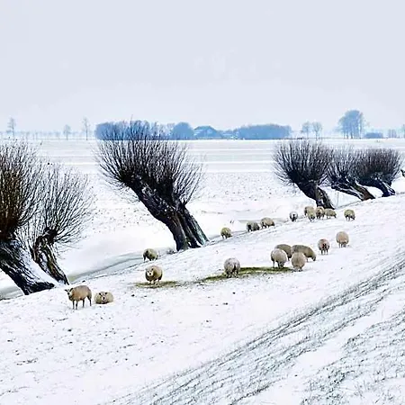 Hotelhuisjes Andijk Bovenkarspel