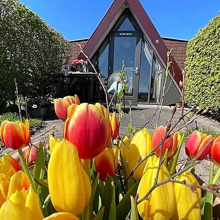 Hotelhuisjes Andijk Hotel